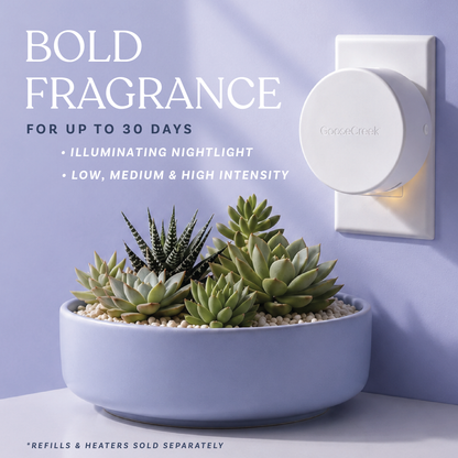 Staying Home Plug-in Refill